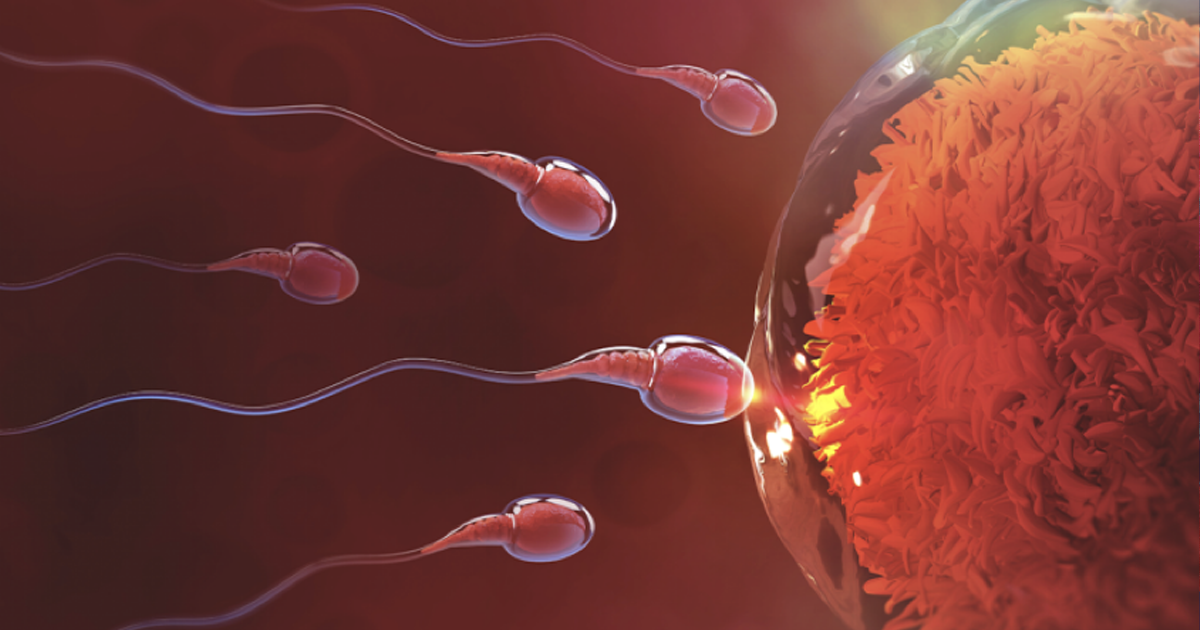 Parasitas e infertilidade