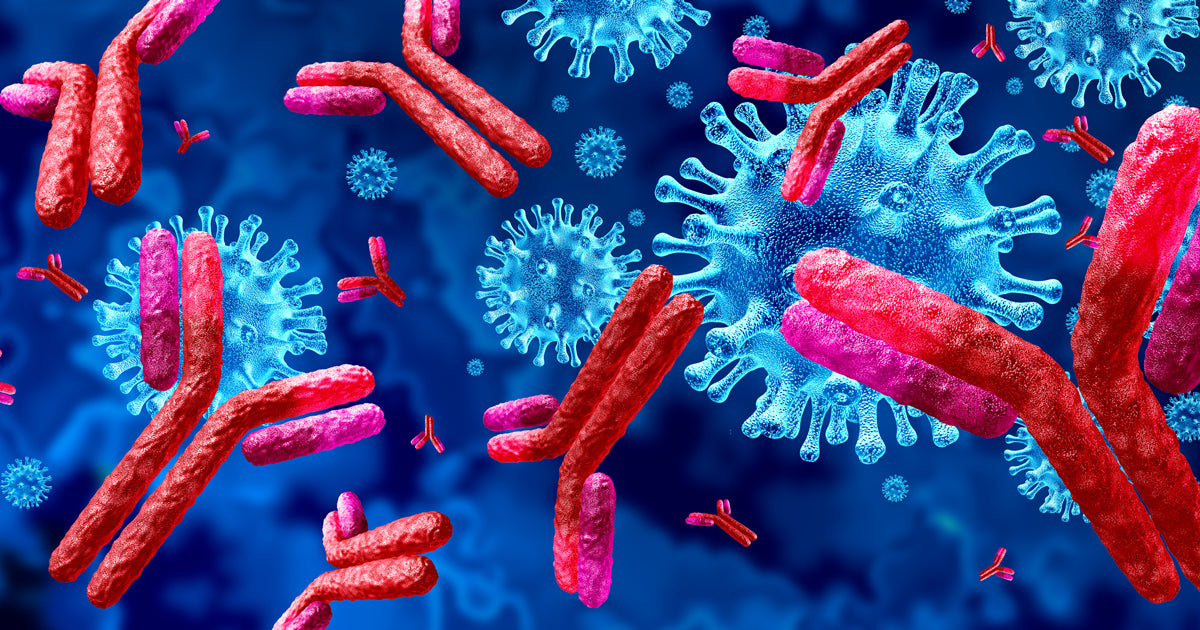 Parasitas e imunidades/vacinas