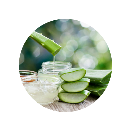 Aloe vera (frequência)