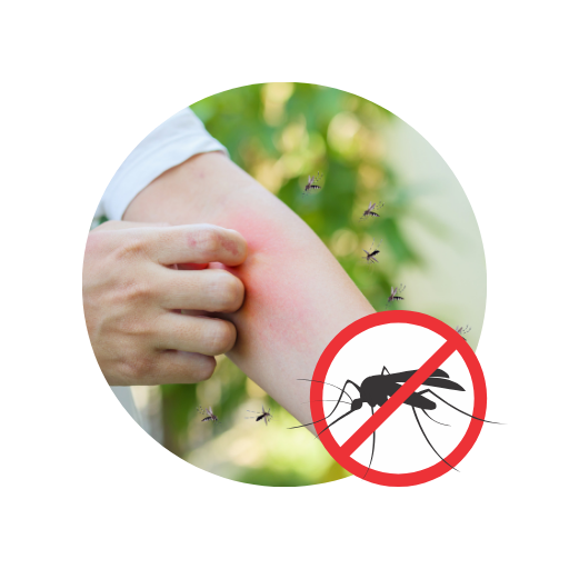 Arbovírus da dengue (frequência informacional)